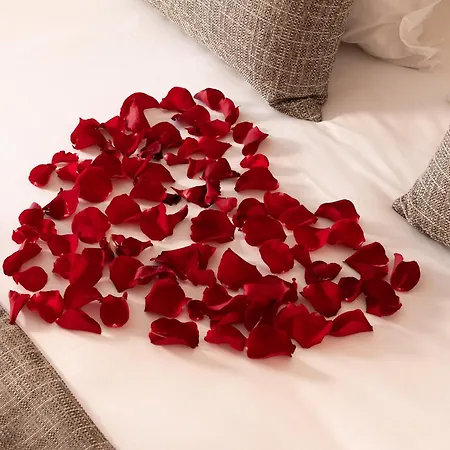 Restaurant Castellane Hotel 4*