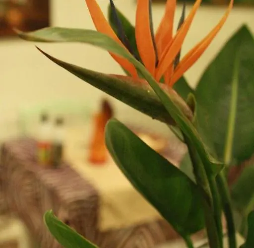 Hotel Restaurant Castellane