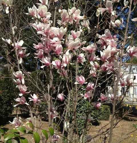 Hotel Restaurant Castellane