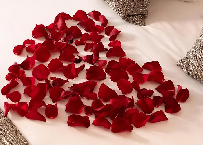 Restaurant Castellane Hotel 4*